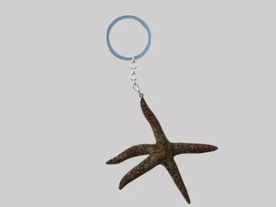 Starfish keychain 3D model