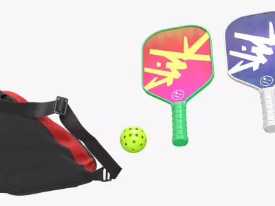 Pickleball Set with Rackets Bag and Ball 3D model