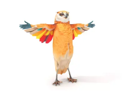 Colorful Owl Hybrid model pack Low-poly 3D model