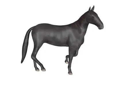Black Horse Low-poly 3D model