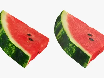 Watermelon Slice Collection 3D model