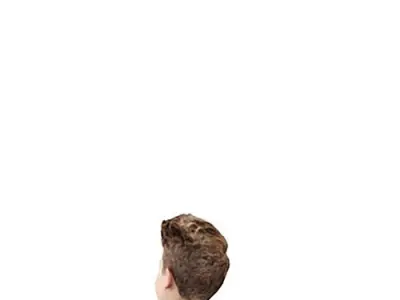 Brad Posed 001 purchase