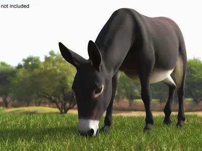  Farm Mammal Eating Dark Brown 