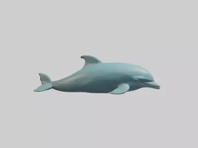Sleeping Dolphin Model Low-poly 3D model