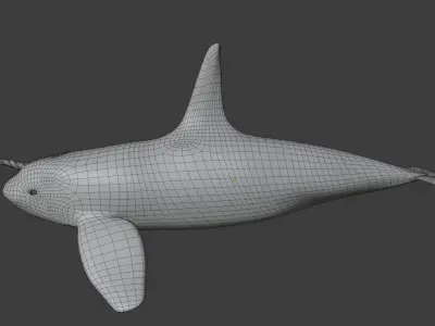 Killer Whale Divine Free low-poly 3D model