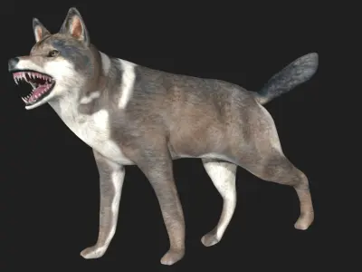 Wolf animal Low-poly 3D model