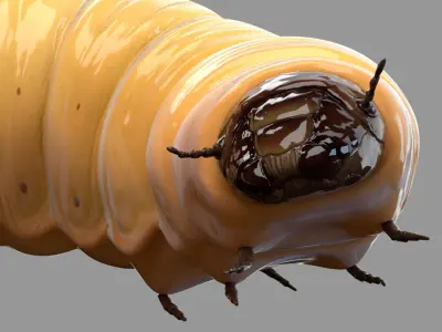 Maggot (Rigged) 3D model