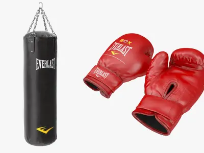 Boxing Gloves and Punching Bag Collection 3D model