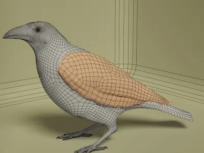 Standing crow 3D model