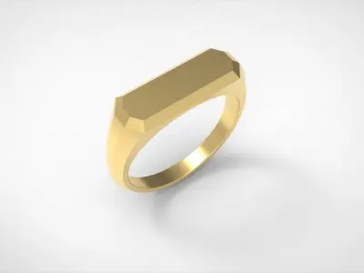 Signet ring Special 3D MODEL 3D print model