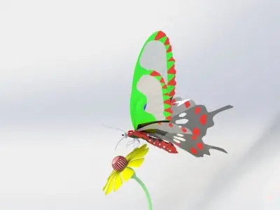 Butterfly 3D model 6