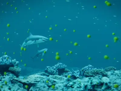 Sharks Animated Scene  Low-poly 3D model