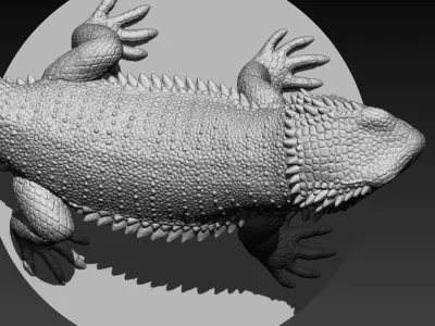 dragon lizard 3D print model