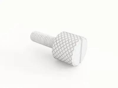 Screw 79 3D model