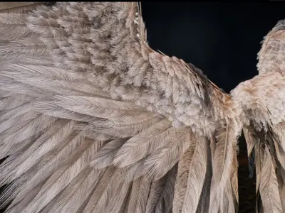 Angel Wings Low-poly 3D model purchase