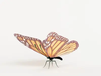 butterfly monarch 3D model buy