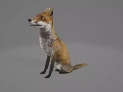 Animated Fox 3D model