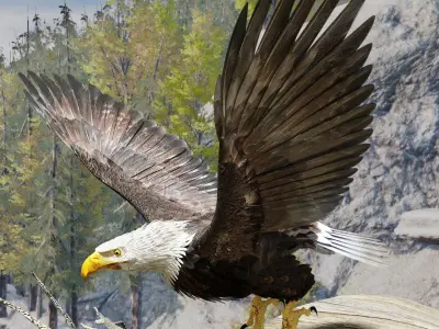 Bald Eagle - BLENDER Low-poly 3D model