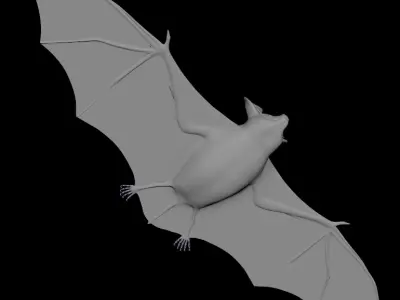 BAT Rigged 3D model