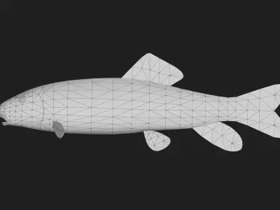 Carp fish Low-poly 3D model