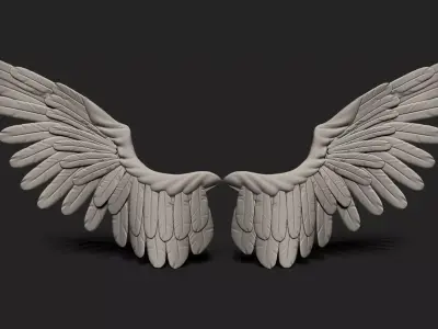 Wings two golden Low-poly 3D model