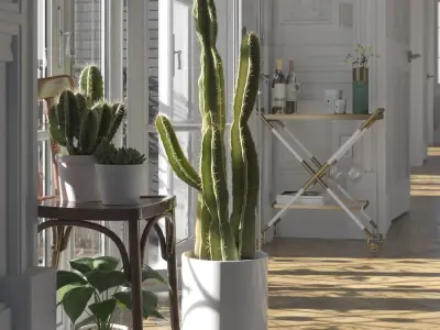  Saguaro Cactus Plant Model  purchase