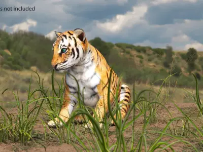Tiger Cub Sitting 3D model
