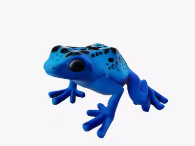Frog cartoon 3d model Low-poly 3D model