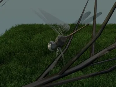 Dragonfly Low-poly 3D model purchase