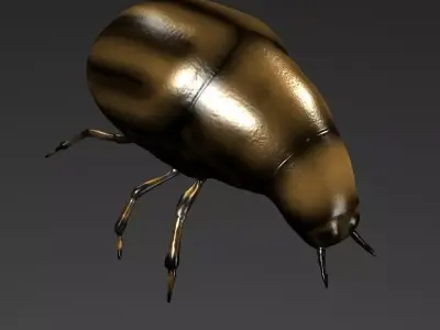 Beetle 3D model shop