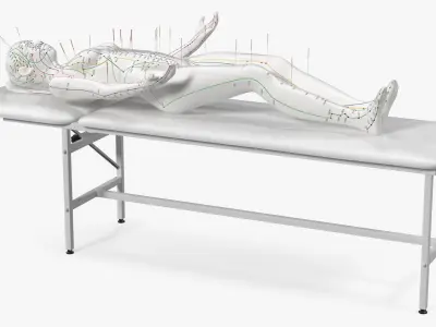 Female Acupuncture Mannequin on the Couch 3D model