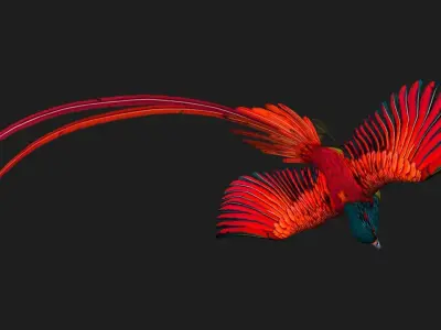 PheasantBird B5 3D model