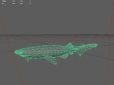 Shark Low-poly 3D model 43