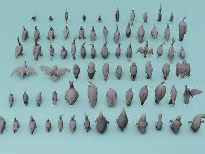 Birds Assets Low-poly 3D model