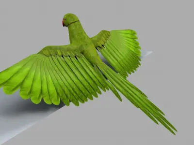 Green Parrot 3D model purchase