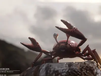  Crab Rigged Low-poly 3D model