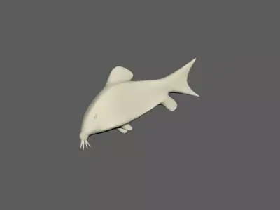 Low-Poly Simple Abino Cory Catfish Low-poly 3D model