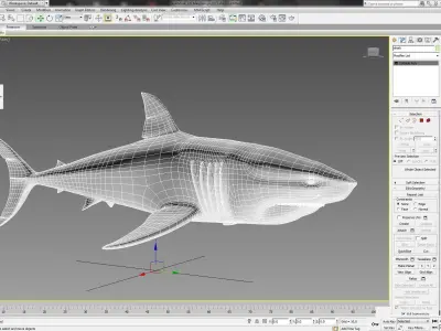 Shark 3D model 5