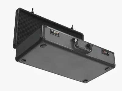 Protective Carry Case with Locks and Foam Insert Black 3D model