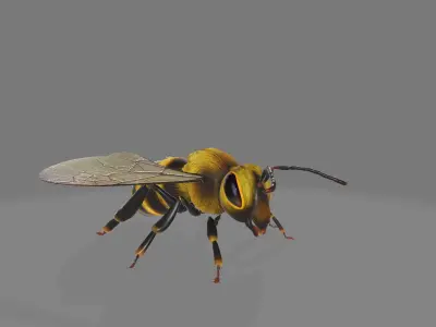animated bee Low-poly 3D model