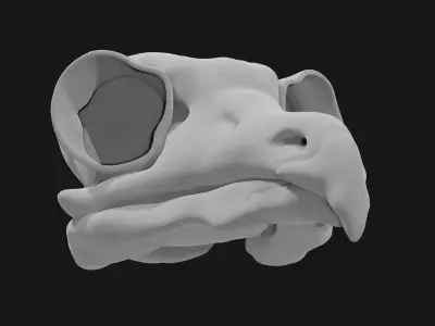 Owl skull 3D model