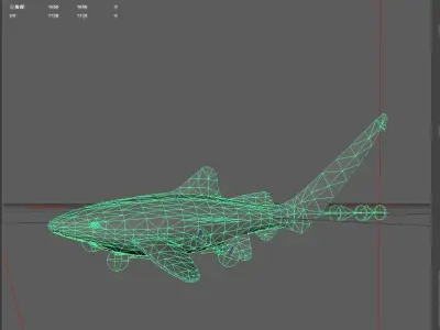 Shark Low-poly 3D model 32