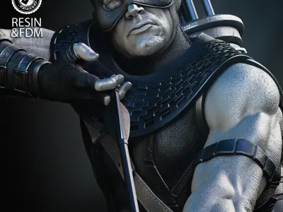 Wicked Marvel Hawkeye Bust Tested for 3D printing 3D print model