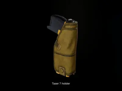 Holsters pack