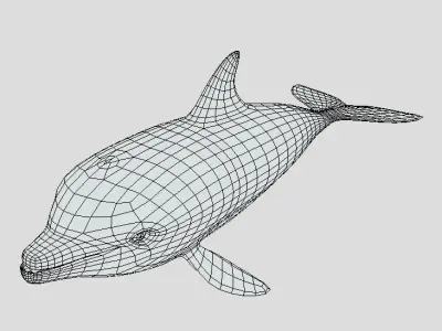 Low Poly Baby Dolphin Low-poly 3D model