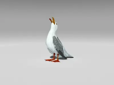 Seagull Low-poly 3D model buy