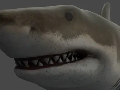Great White Shark Low-poly 3D model