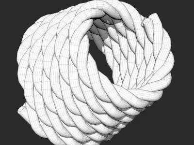 Thick Rope 3D model