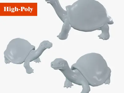 turtle rig  high-poly  3D model