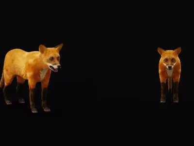 Red Fox Karaganda Free 3D model